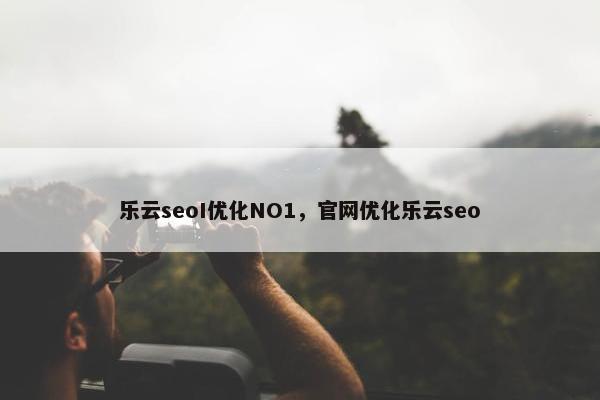 乐云seoI优化NO1，官网优化乐云seo