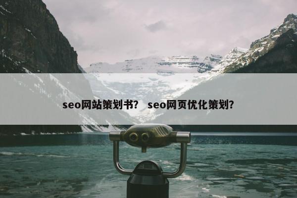 seo网站策划书？ seo网页优化策划？