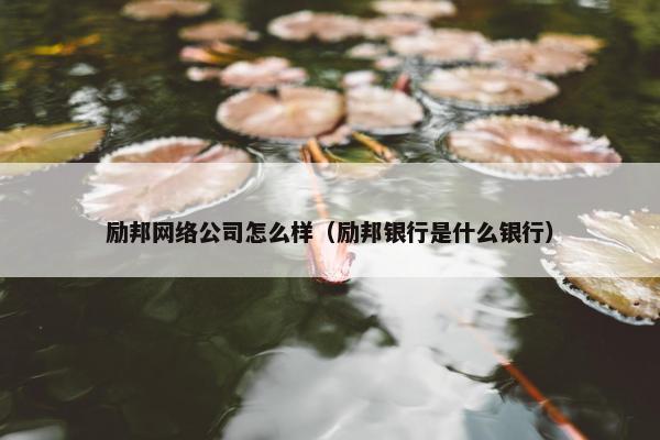 励邦网络公司怎么样（励邦银行是什么银行）