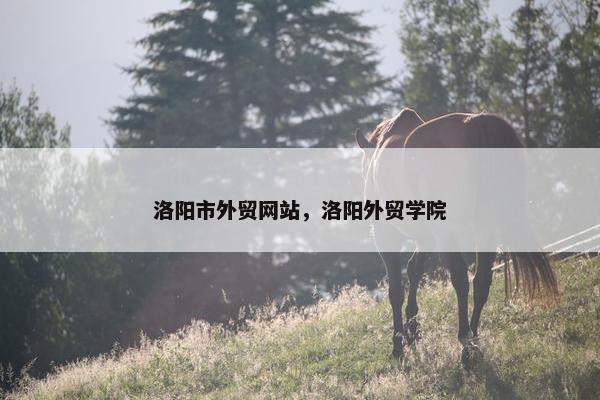 洛阳市外贸网站，洛阳外贸学院