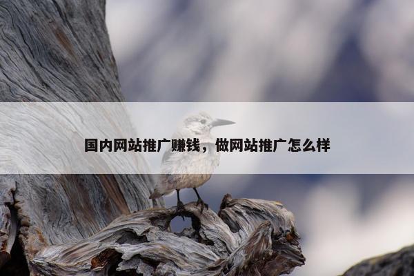 国内网站推广赚钱，做网站推广怎么样