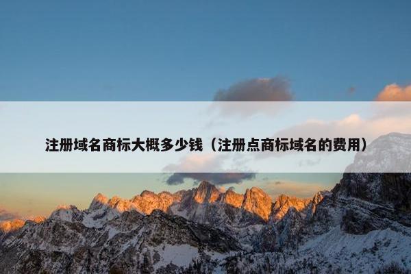 注册域名商标大概多少钱（注册点商标域名的费用）