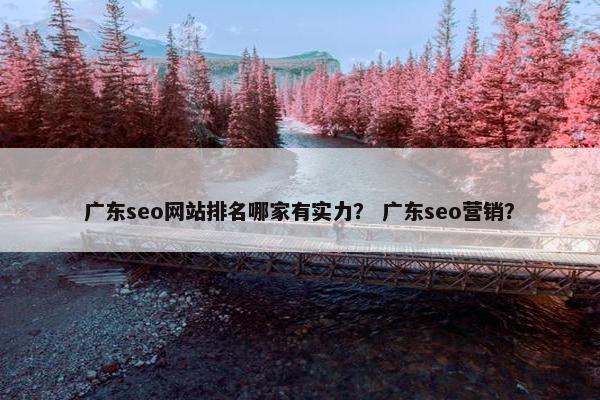 广东seo网站排名哪家有实力？ 广东seo营销？