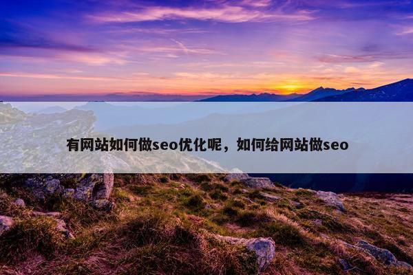 有网站如何做seo优化呢，如何给网站做seo