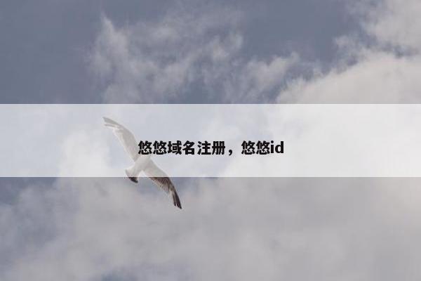 悠悠域名注册，悠悠id