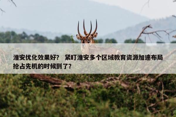 淮安优化效果好？ 紧盯淮安多个区域教育资源加速布局抢占先机的时候到了？