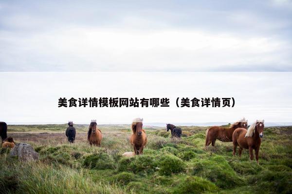 美食详情模板网站有哪些（美食详情页）