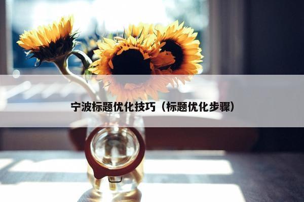 宁波标题优化技巧（标题优化步骤）