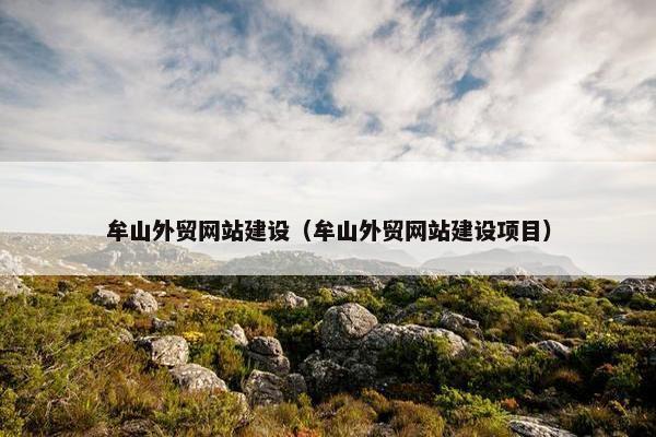 牟山外贸网站建设（牟山外贸网站建设项目）