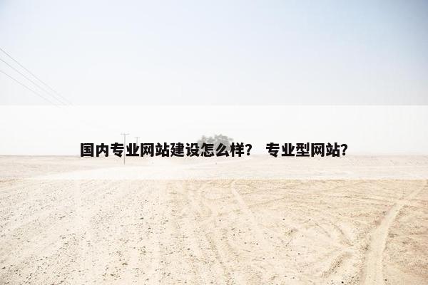 国内专业网站建设怎么样？ 专业型网站？