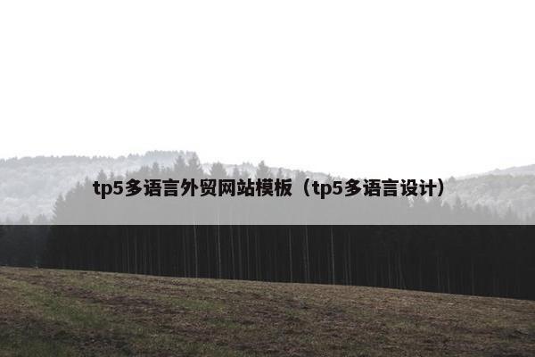 tp5多语言外贸网站模板（tp5多语言设计）