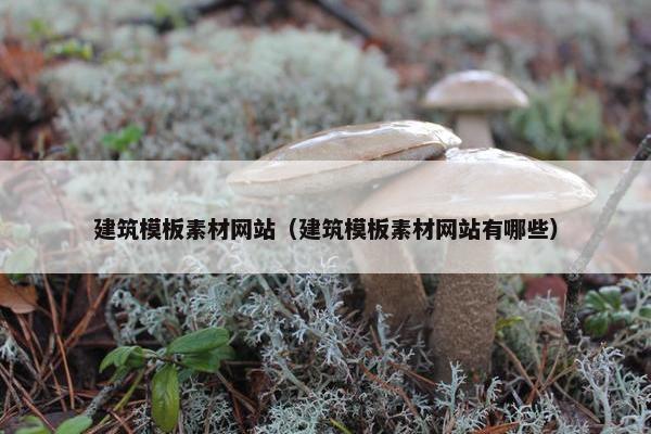 建筑模板素材网站（建筑模板素材网站有哪些）