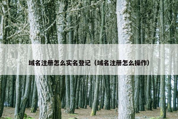 域名注册怎么实名登记（域名注册怎么操作）