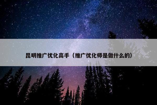 昆明推广优化高手（推广优化师是做什么的）
