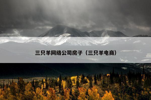 三只羊网络公司房子（三只羊电商）