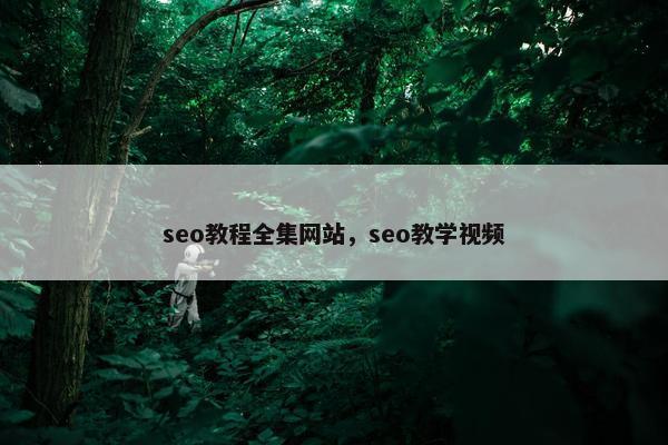 seo教程全集网站，seo教学视频