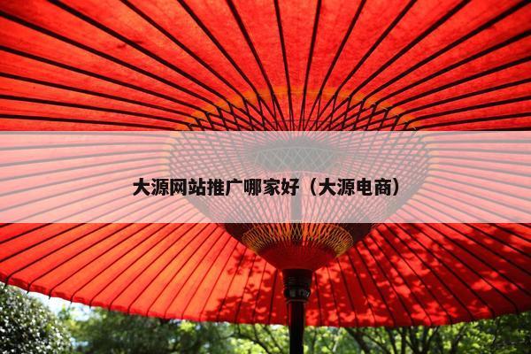 大源网站推广哪家好（大源电商）