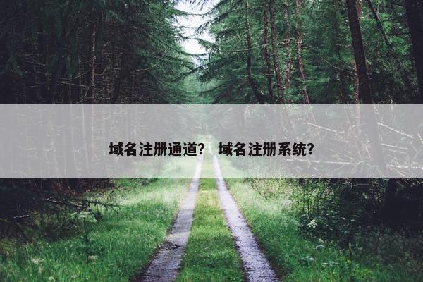 域名注册通道？ 域名注册系统？