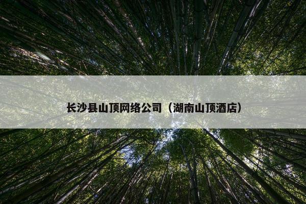 长沙县山顶网络公司（湖南山顶酒店）