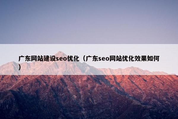 广东网站建设seo优化（广东seo网站优化效果如何）