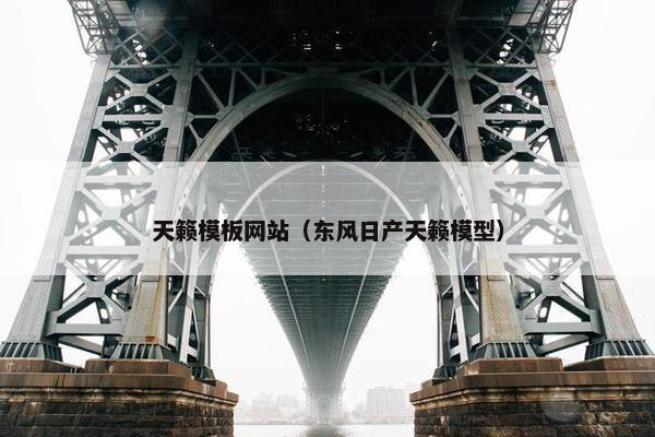 天籁模板网站（东风日产天籁模型）