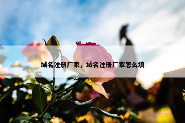 域名注册厂家，域名注册厂家怎么填