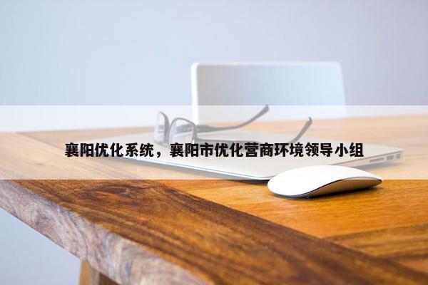 襄阳优化系统，襄阳市优化营商环境领导小组