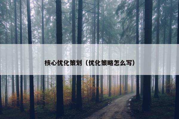 核心优化策划（优化策略怎么写）