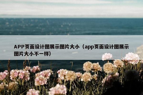 APP页面设计图展示图片大小（app页面设计图展示图片大小不一样）