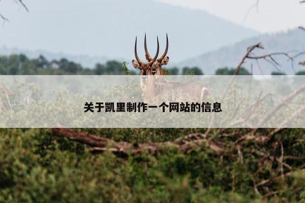关于凯里制作一个网站的信息