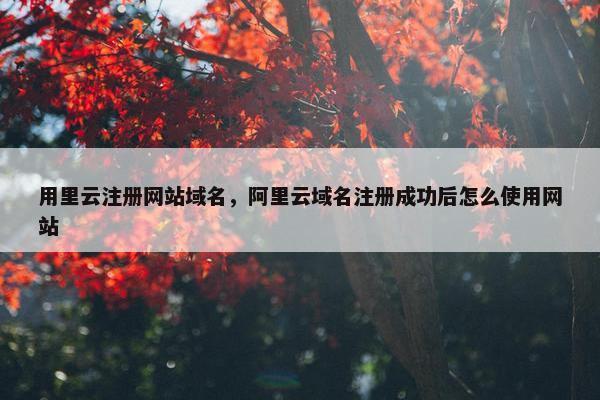 用里云注册网站域名，阿里云域名注册成功后怎么使用网站