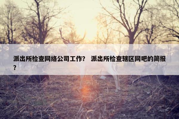 派出所检查网络公司工作？ 派出所检查辖区网吧的简报？