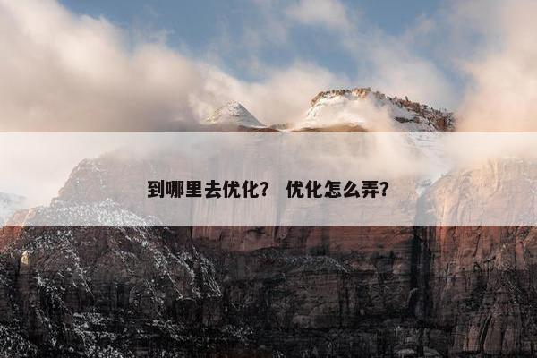 到哪里去优化？ 优化怎么弄？