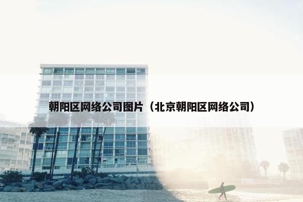 朝阳区网络公司图片（北京朝阳区网络公司）