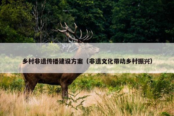 乡村非遗传播建设方案（非遗文化带动乡村振兴）