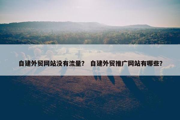自建外贸网站没有流量？ 自建外贸推广网站有哪些？