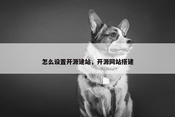 怎么设置开源建站，开源网站搭建