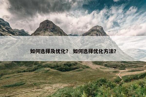 如何选择及优化？ 如何选择优化方法？