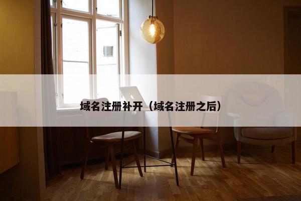 域名注册补开（域名注册之后）