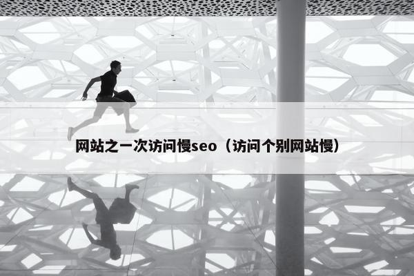 网站之一次访问慢seo（访问个别网站慢）