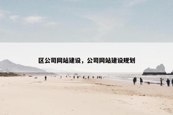 区公司网站建设，公司网站建设规划