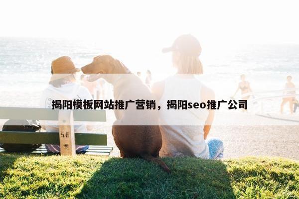 揭阳模板网站推广营销，揭阳seo推广公司