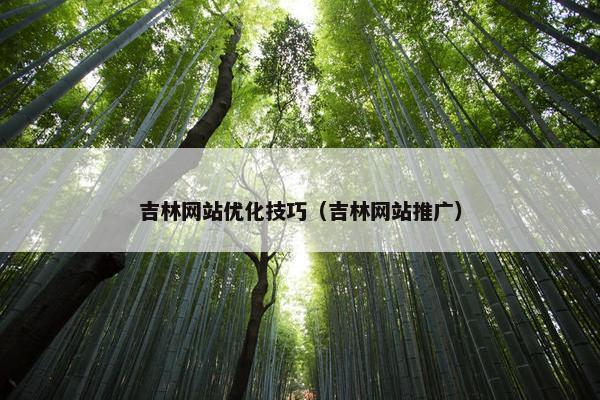 吉林网站优化技巧（吉林网站推广）