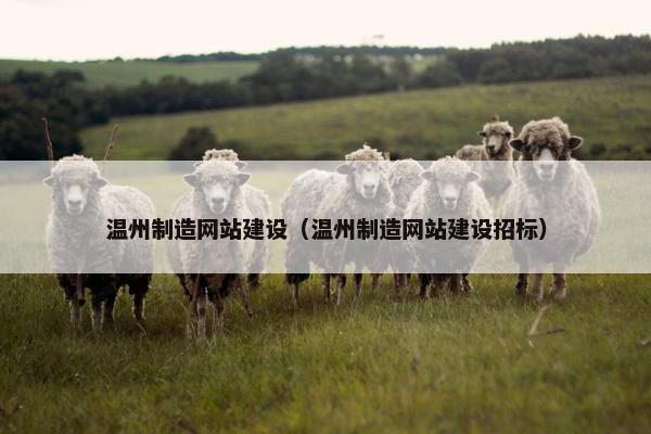 温州制造网站建设（温州制造网站建设招标）