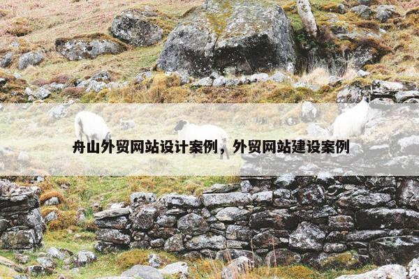 舟山外贸网站设计案例，外贸网站建设案例