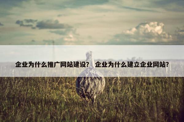 企业为什么推广网站建设？ 企业为什么建立企业网站？