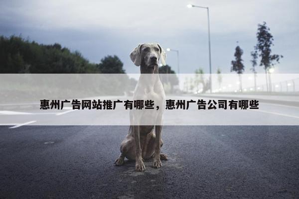 惠州广告网站推广有哪些，惠州广告公司有哪些