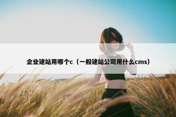 企业建站用哪个c（一般建站公司用什么cms）