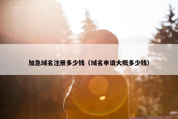 加急域名注册多少钱（域名申请大概多少钱）