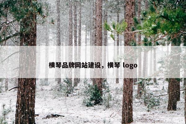 横琴品牌网站建设，横琴 logo